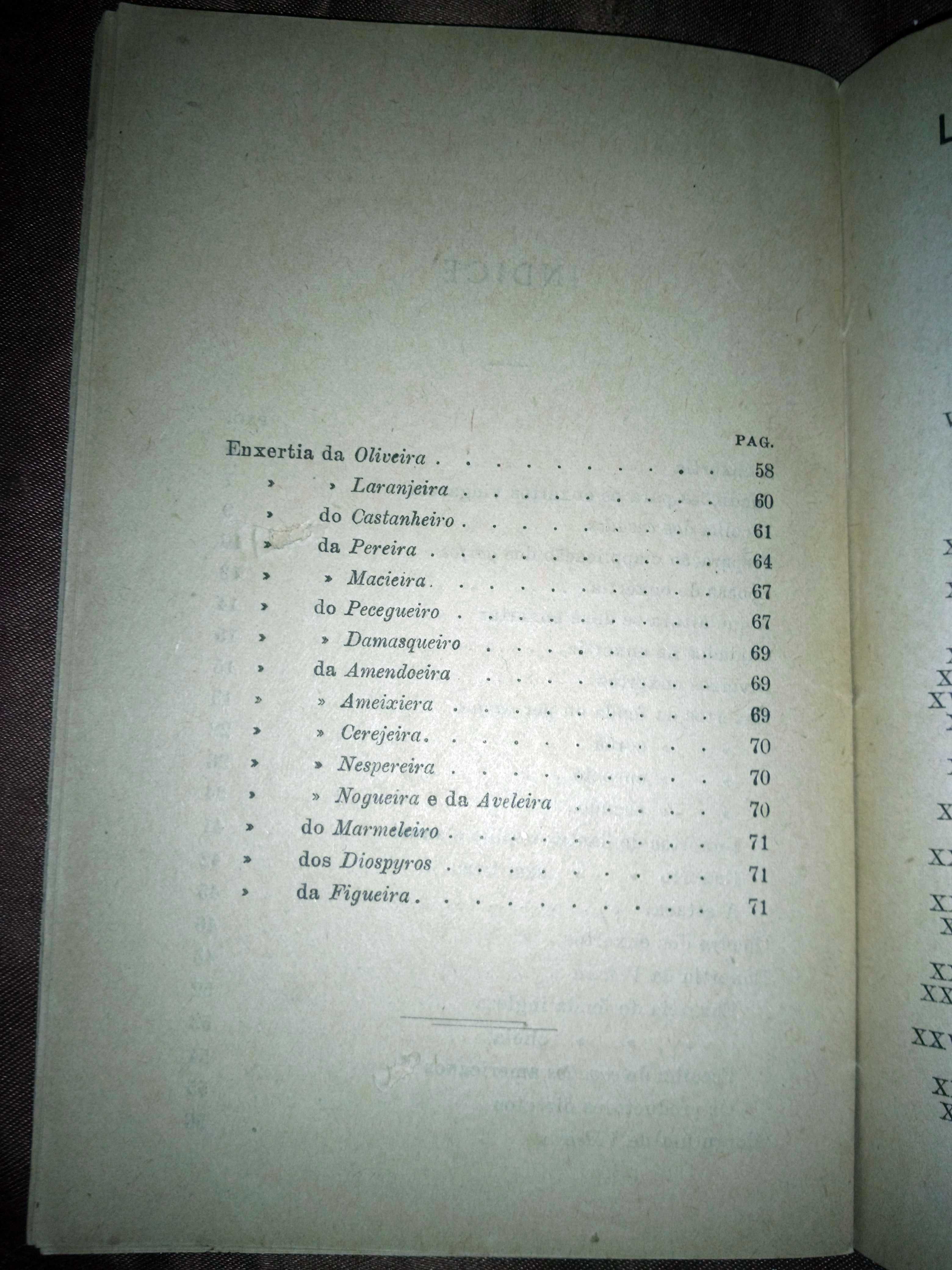 "Manual do Enxertador" - Livraria do Lavrador - ano de 1928