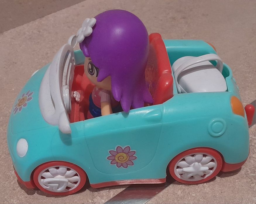 Pinypon carro/piquenique