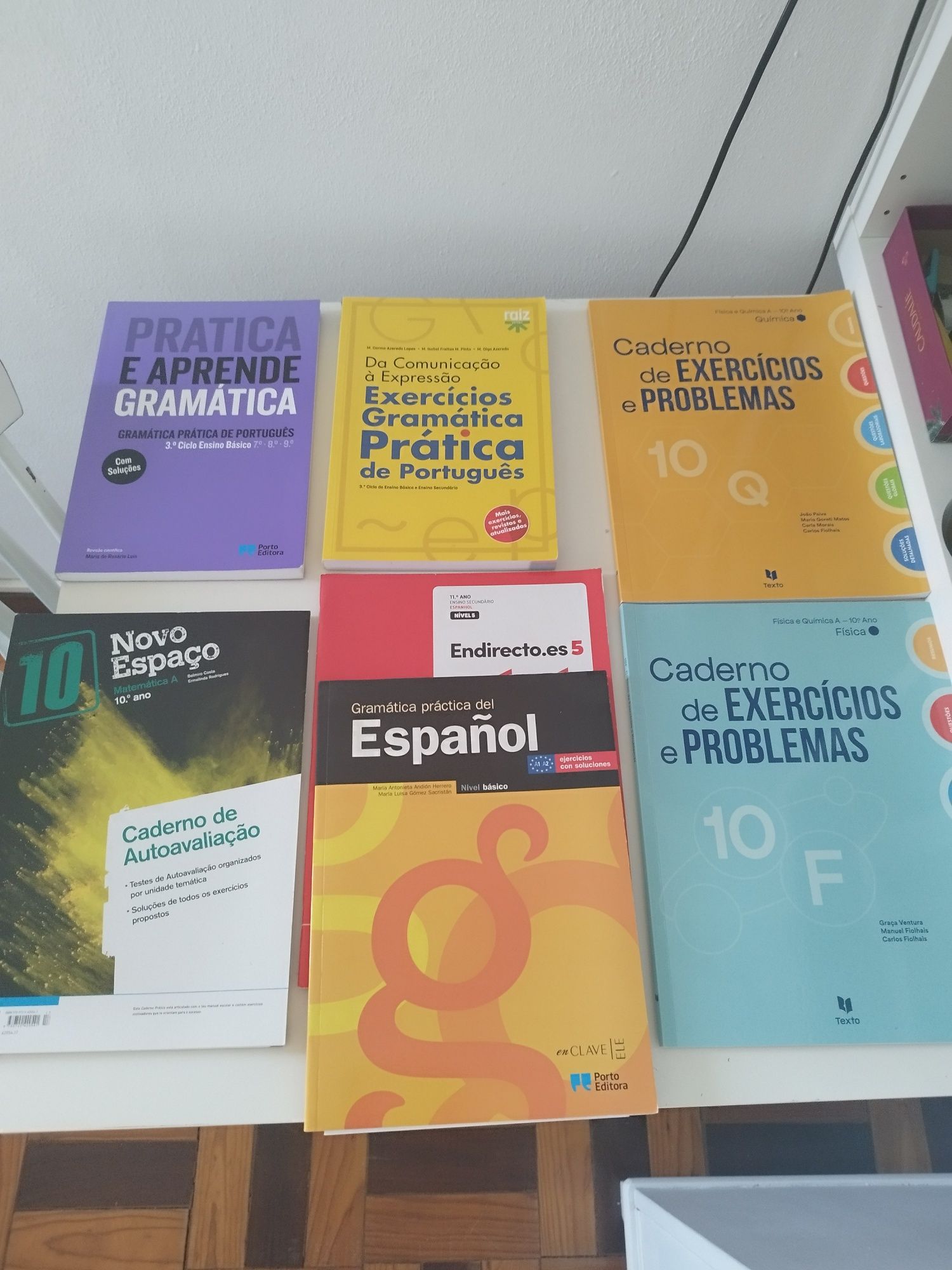 Vários cadernos escolares e gramáticas , disciplinas 10 ano