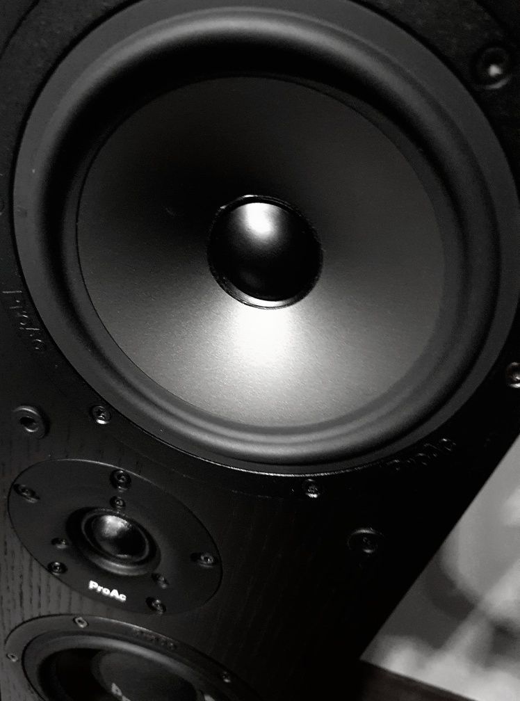 Kolumny ProAc DT8 inne niż JBL,Klipsch,Dynaudio,Elac,Focal,B&W,ATC,PMC