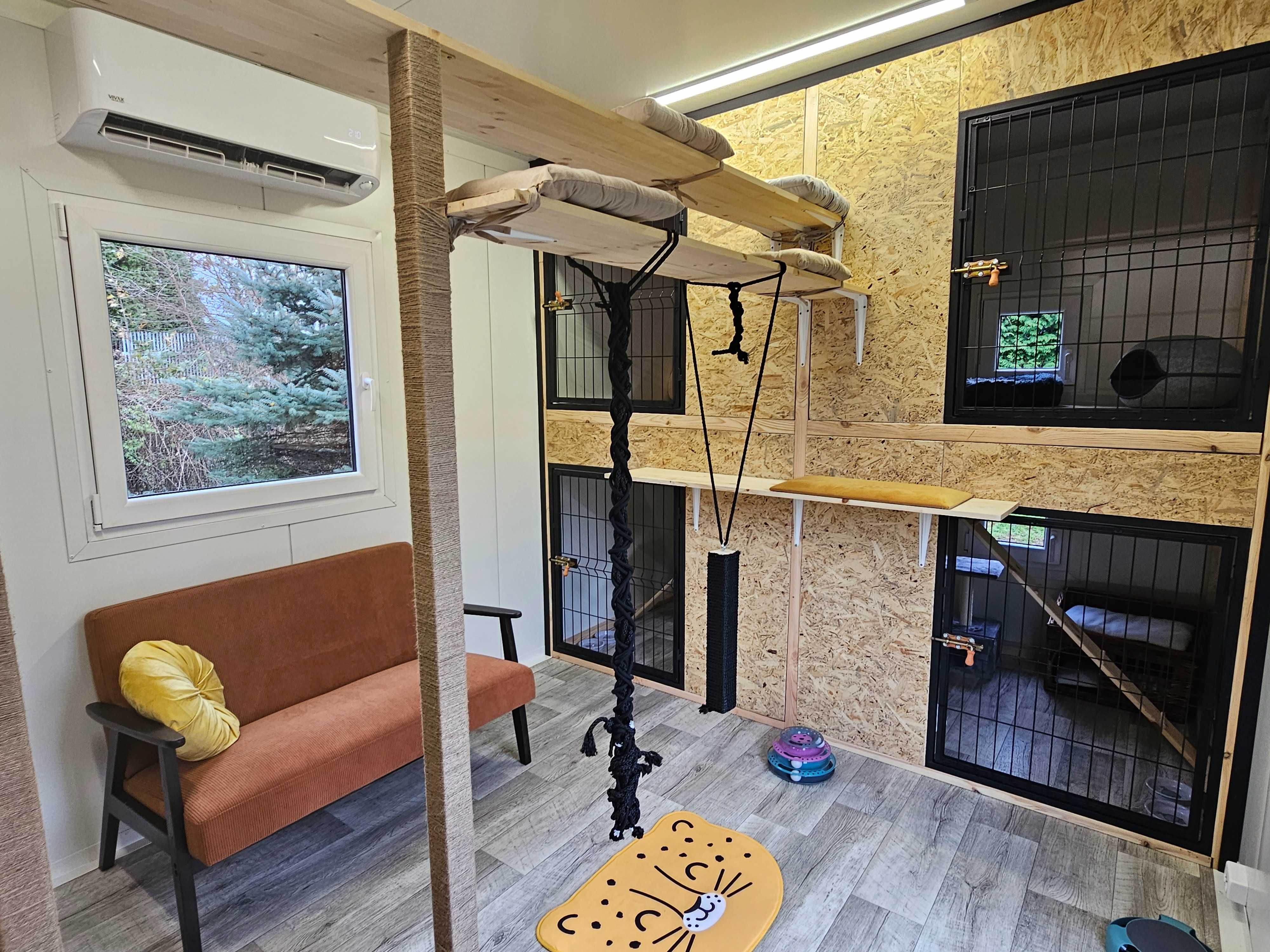 Kocia Laba hotel dla kotów
