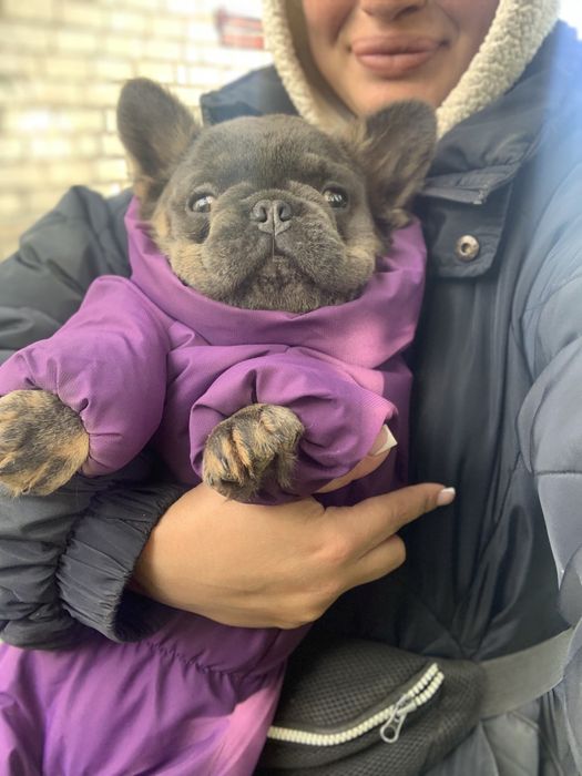 Піку солоденький пушистік