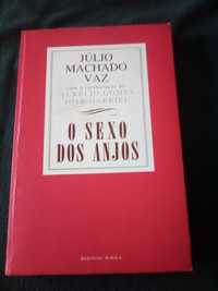 3 Livros do Julio Machado Vaz