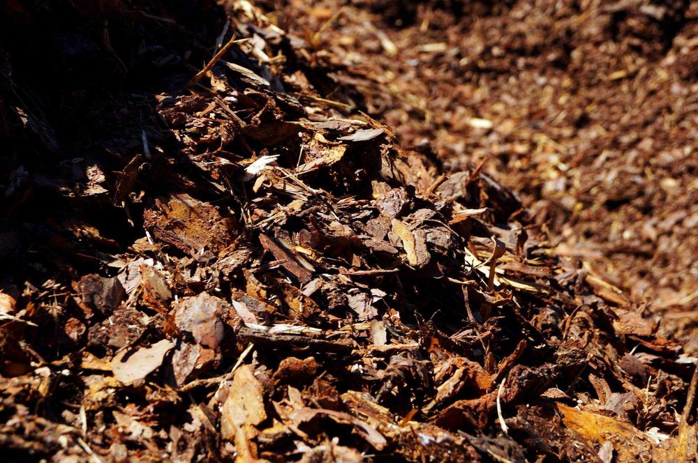 *Kora Sosnowa 80L* Ogrodowa Ciechocinek + Okolice Dowóz Gratis