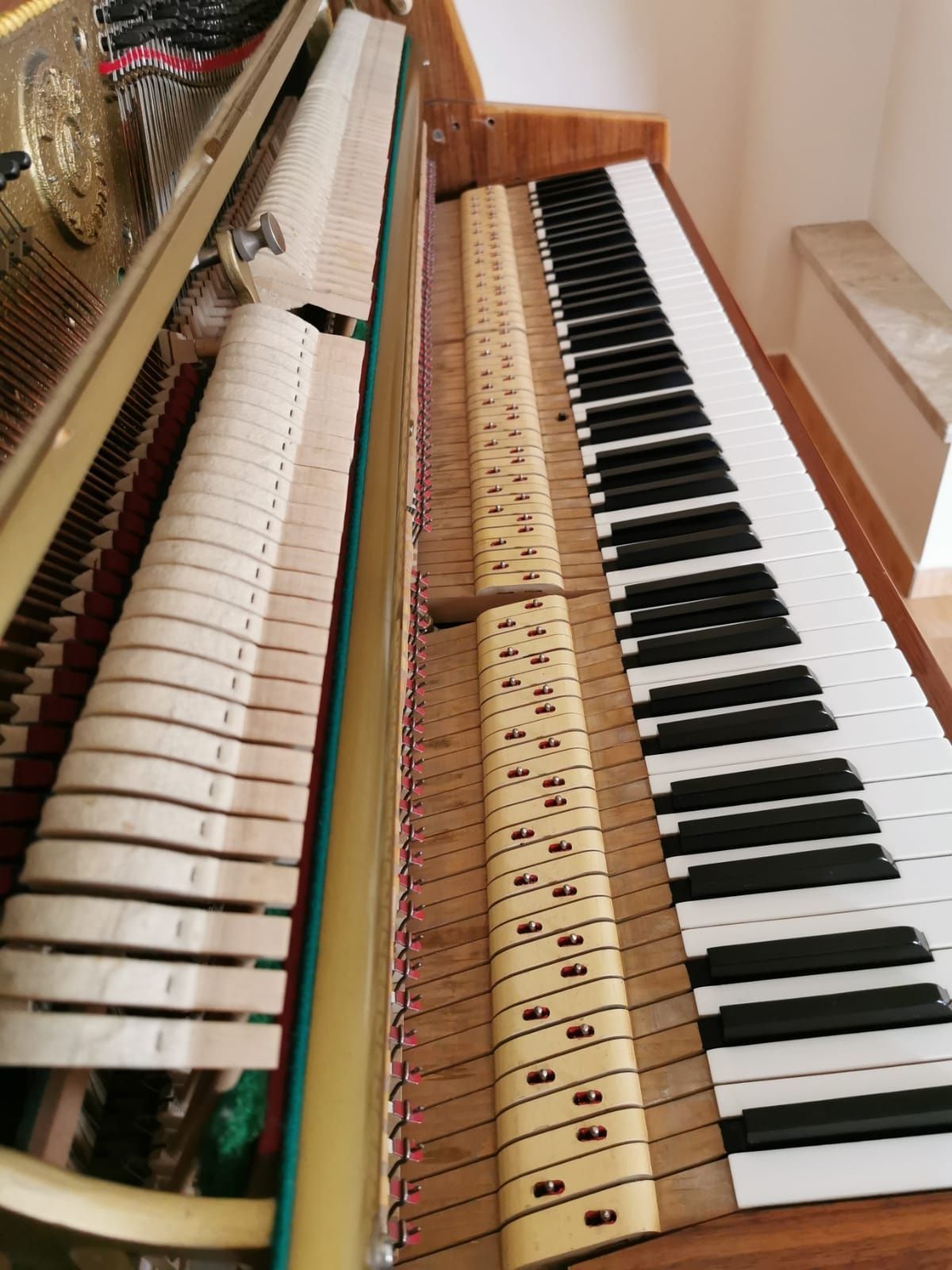 Pianino Calisia Nokturn 105