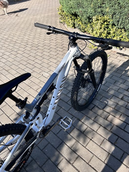 Canyon Neuron Young Hero