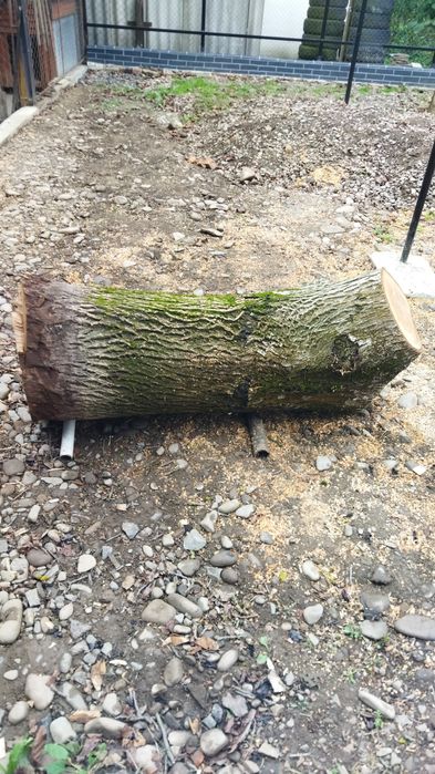 Продам горіха на дошку.