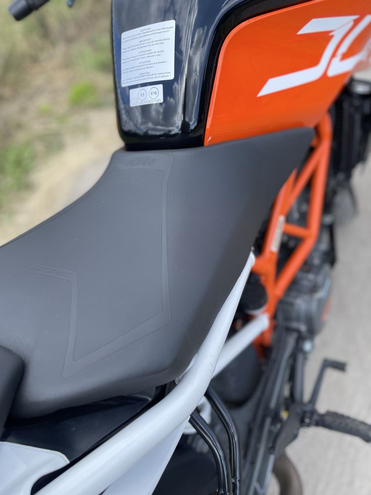 Duke 390/125 salon polska kat b 19r