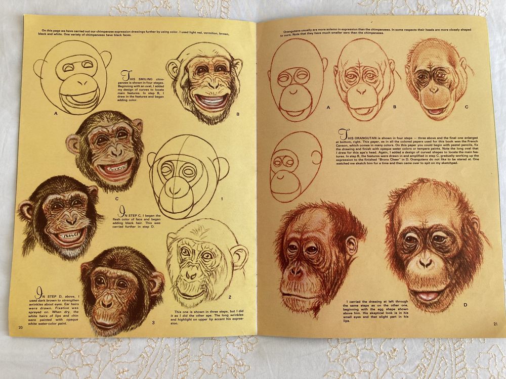 Revista “How to draw and paint animal expressions”, de W. Wilwerding