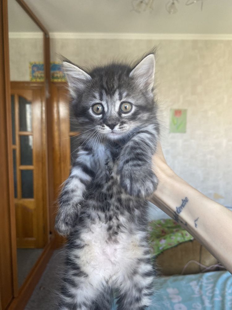 Радость в дом к деткам
