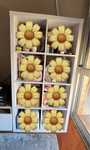 Estante Kallax Ikea 77x147