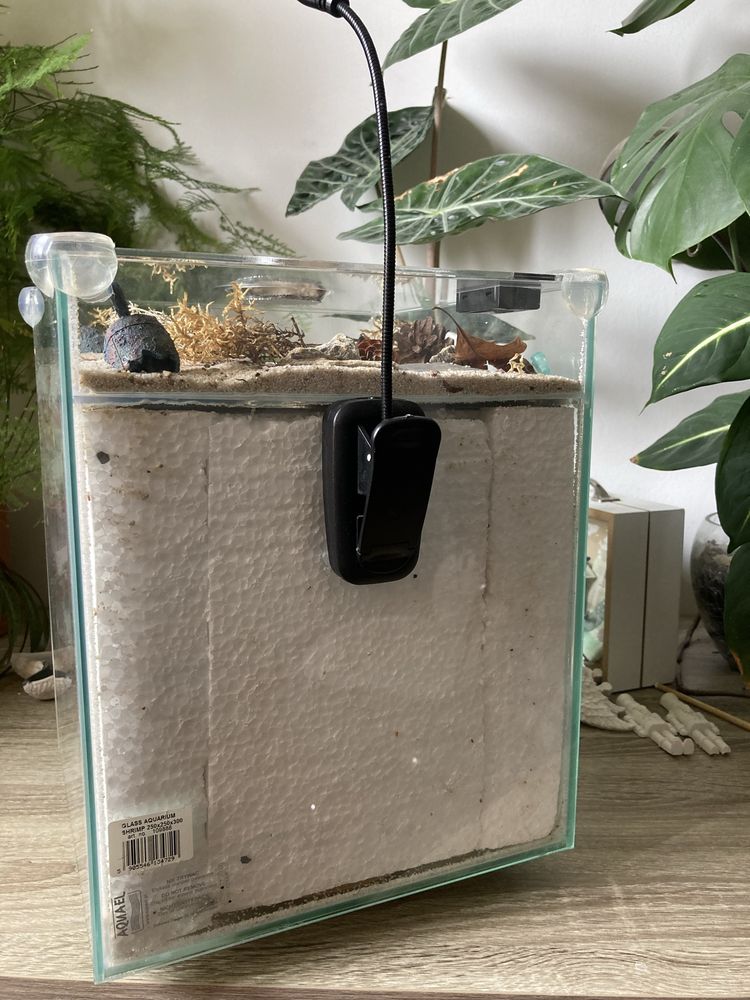 Formikarium 19 l.
