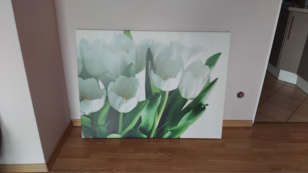 Piękny obraz bialych tulipanów