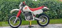 Honda XR 600   R
