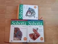 Sobotta atlasy anatomia