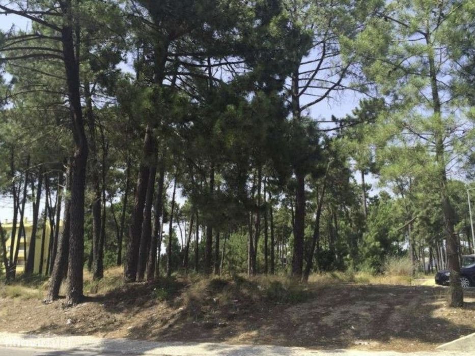 Terreno para Construção de Edifício Habitacional com 4 pisos em Aze...