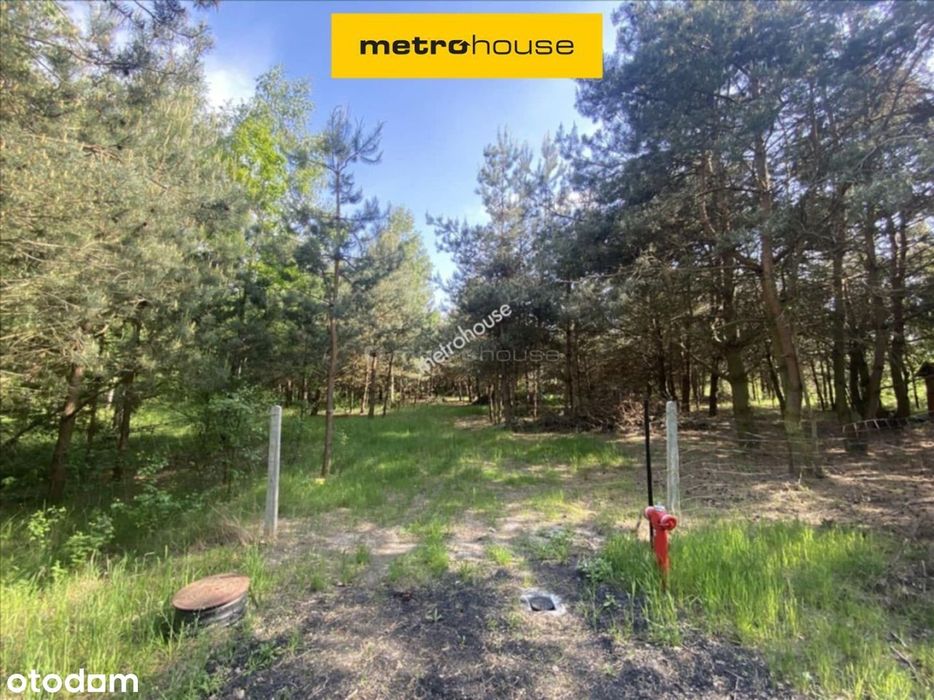 Działka, Kownaciska