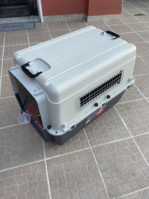 Caixa de transporte de caēs de grande porte