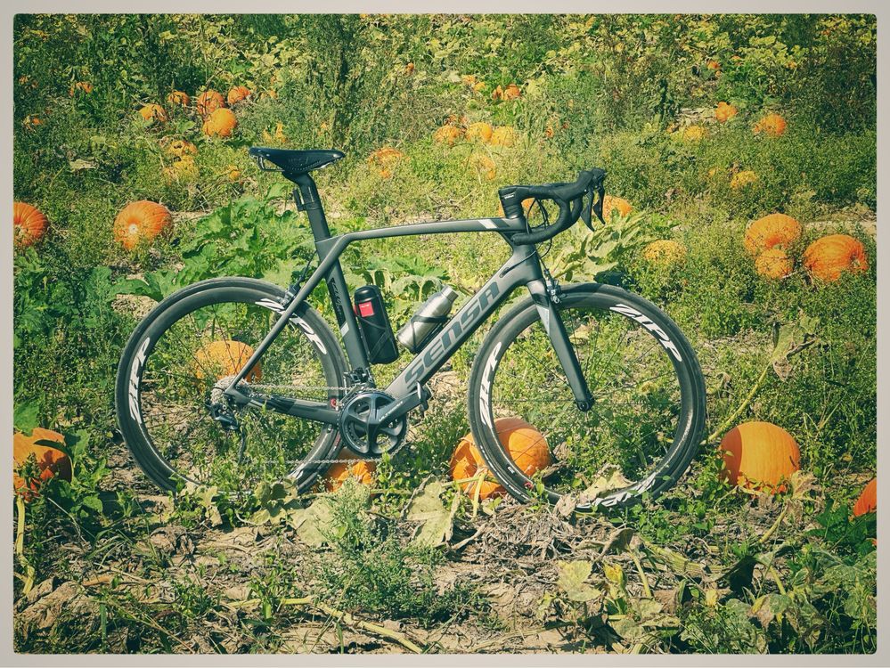 OKAZJA! Sensa Giulia Evo Ultegra 58 + Zipp 303 + Vision Metron