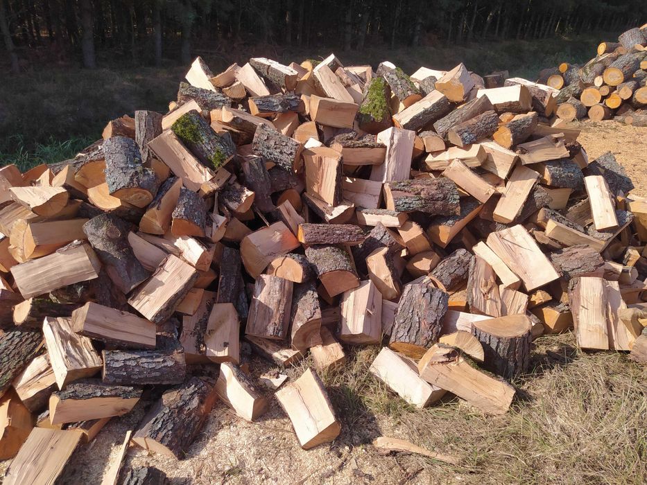 Olcha, Brzoza, Dąb, Buk, Grab kominkowy