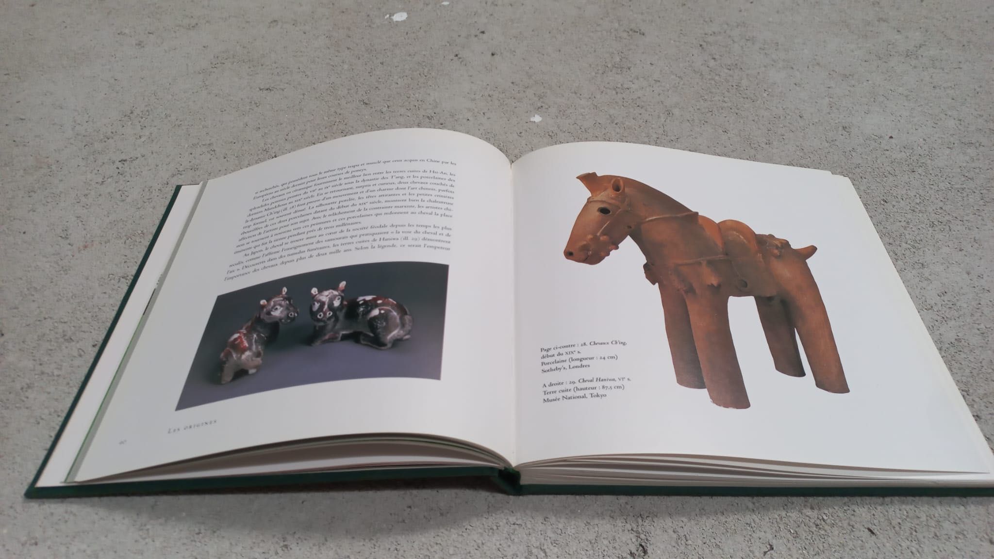 Livro de arte "Chevaux" de John Fairley