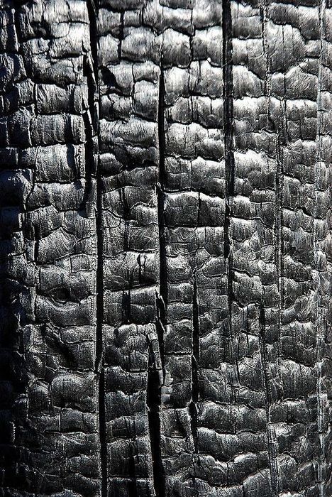 Deski opalane / Shou Sugi Ban / Yakisugi /deska ewelacyjna / tarasowa