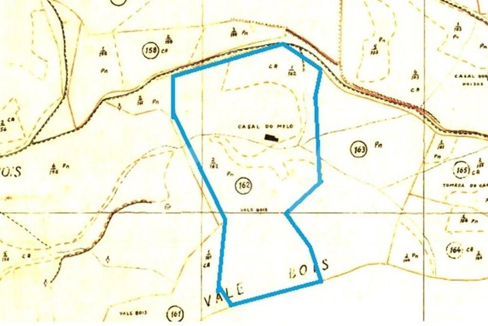 Venda de terreno agrícola com 3 hectares em Jerumelo, Malveira