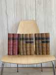 Conjunto de livros falsos