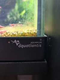 Aquario e movel aquatlantis 60