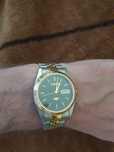 Citizen Eagle 7 two tone vintage