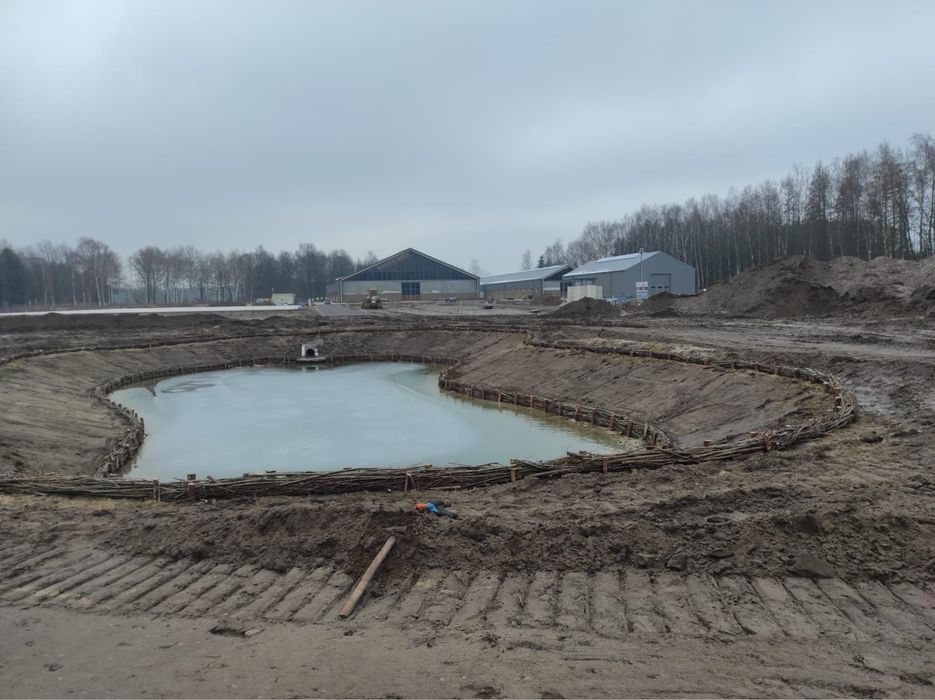 Faszynowanie brzegów stawu zabespieczanie przed osuwaniem faszyna