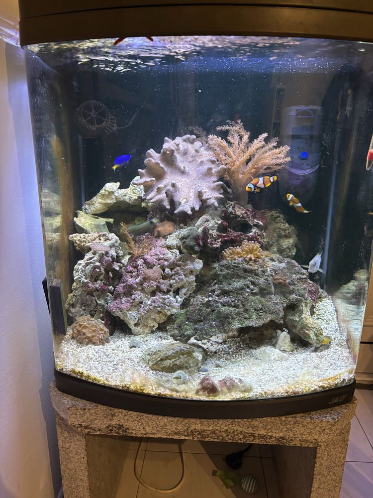 Aquario JAD 120L +\-