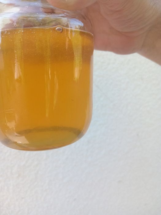 Мед травневий+акація 2025р - 230 грн за 1 л