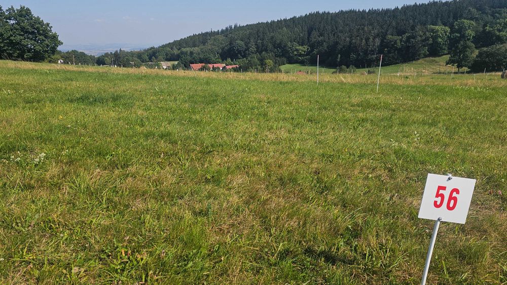 Działka blisko Karpacza, tylko 30 minut od zalewu Bukówka