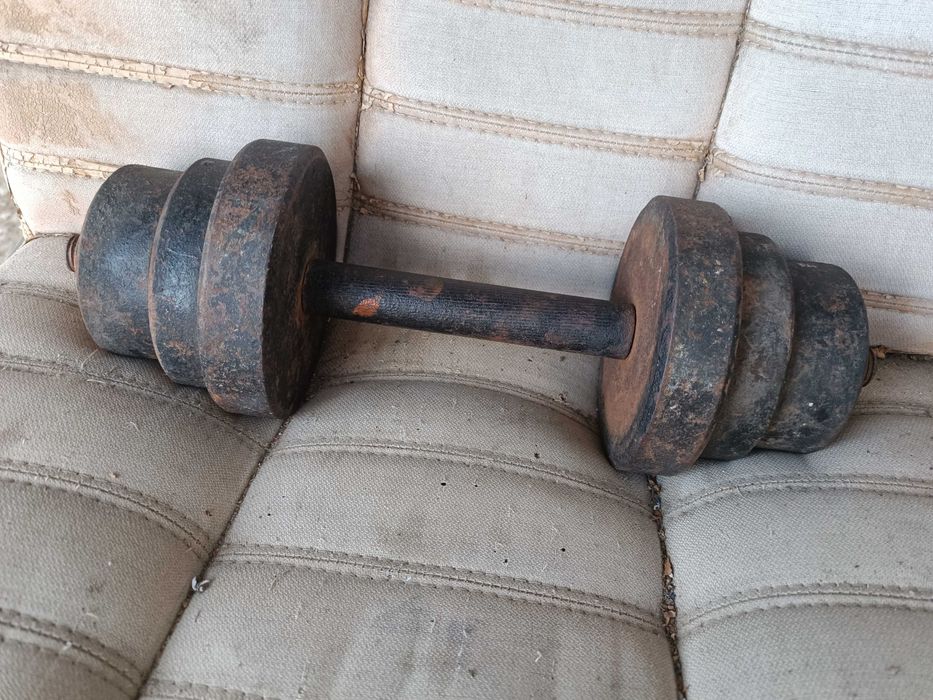 Гантели стальная 10 кг