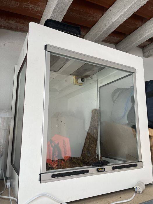 Terrario para animais exoticos