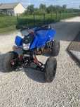 Quad Bashan 250 BS250S-11B