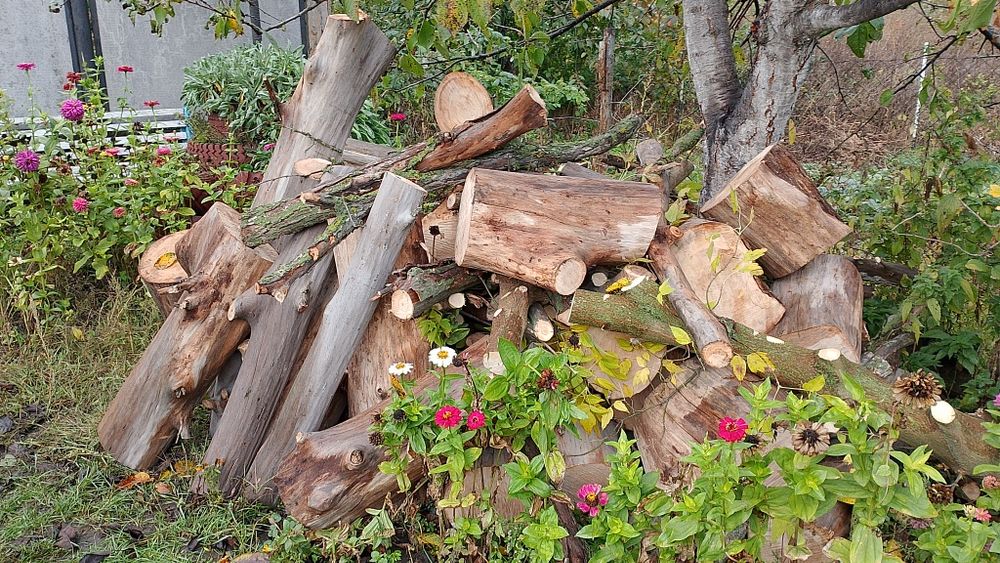 Продам дрова,чурбаки метровки твердої породи