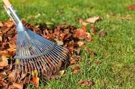 Fazemos trabalhos de limpeza de terrenos e jardinagem