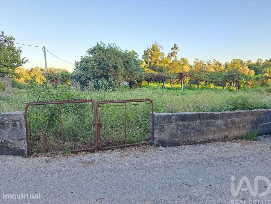 Terreno em Freiriz de 3900,00 m2