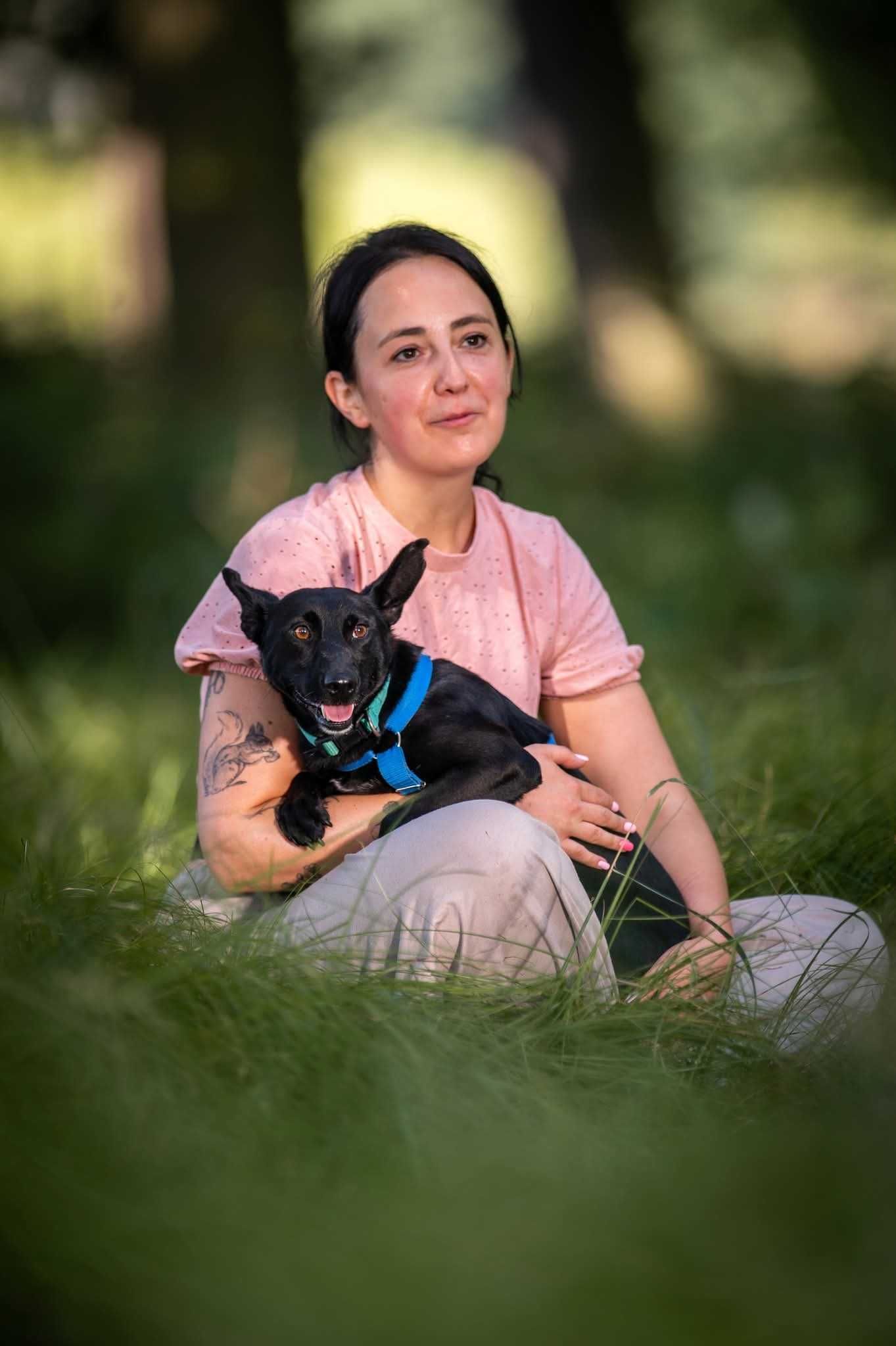 Koko - śliczny piesek szuka domu ADOPCJA