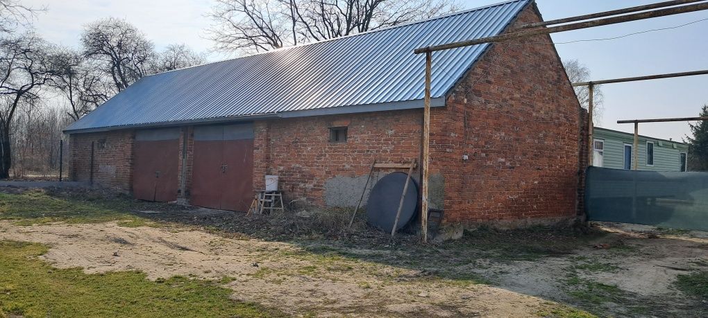 Magazyn przechowalnia