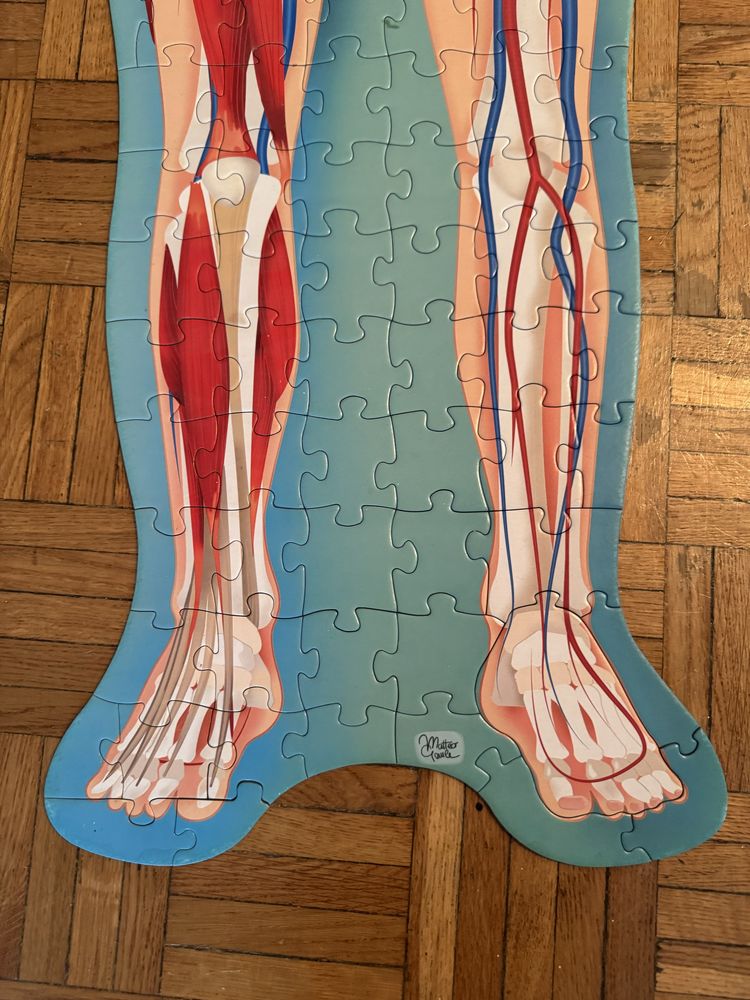 Puzzle cialo czlowieka 200 elementów