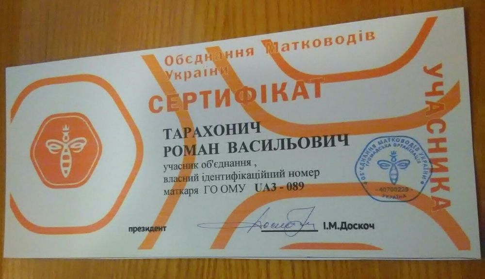 Матки Карпатка 2021р пчеломатка. Племінні, контрольованого парування