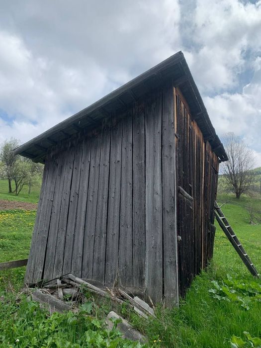 Куплю стару чорну дошку Дорого