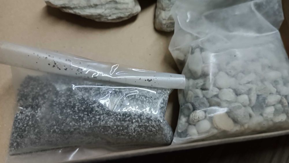 Las w słoiku - zestaw do samodzielnego przygotowania