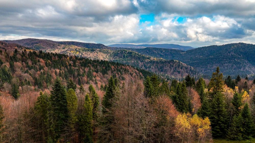 Domek w górach Beskid Sądecki, Hala Pisana sauna grill