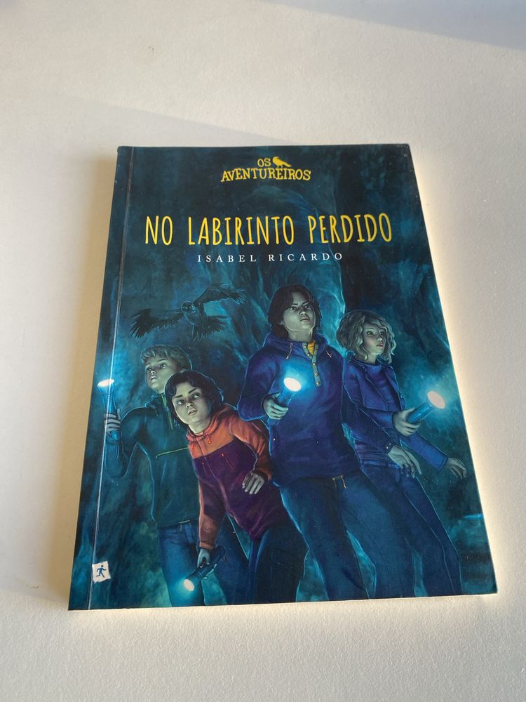 Livro Os aventureiros: No labirinto perdido de Isabel Ricardo