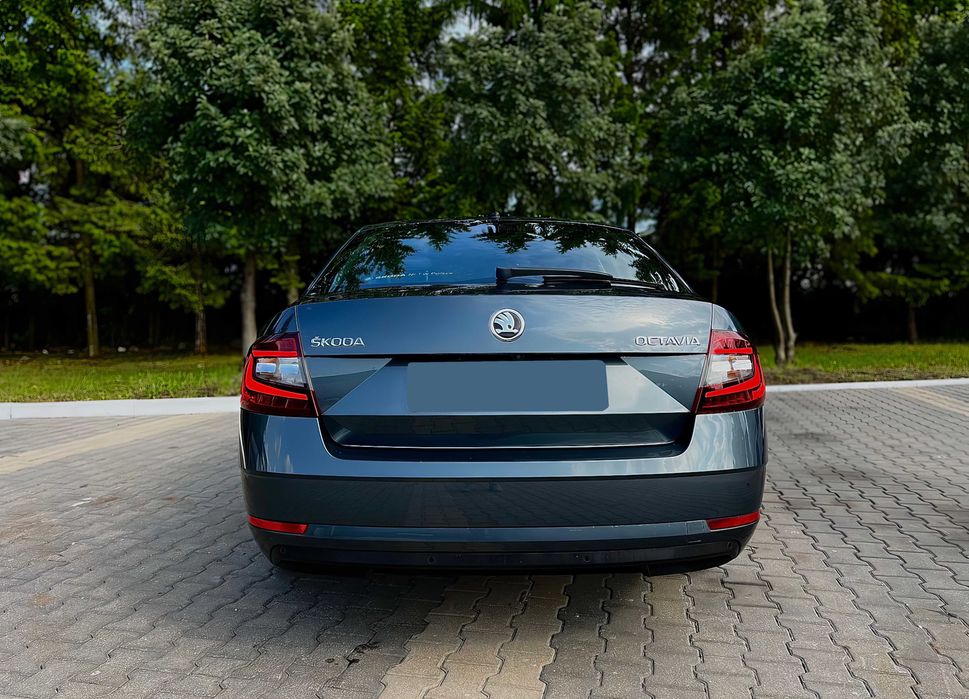 Skoda Octavia      2017