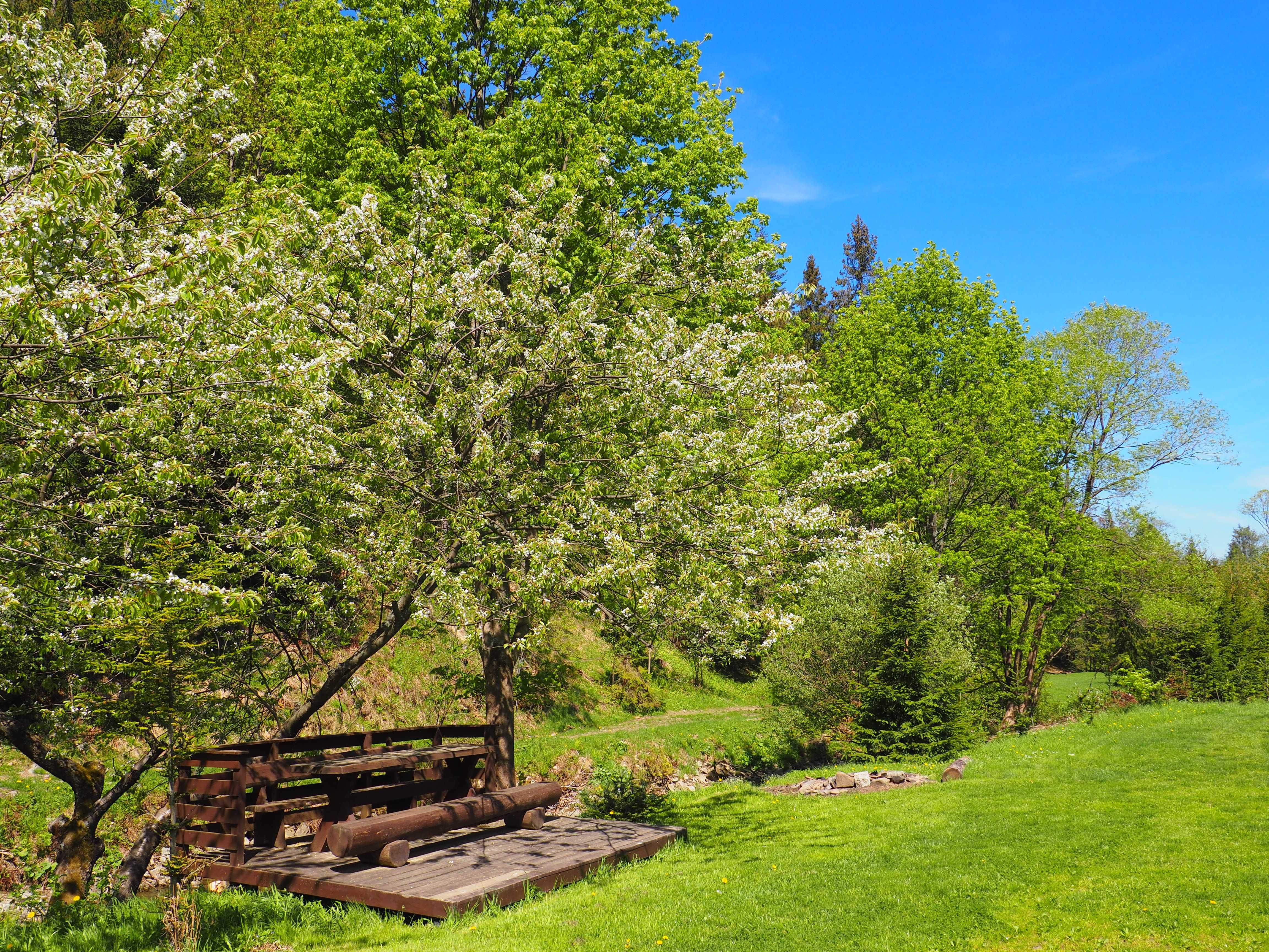 Domek w górach, Beskid Żywiecki